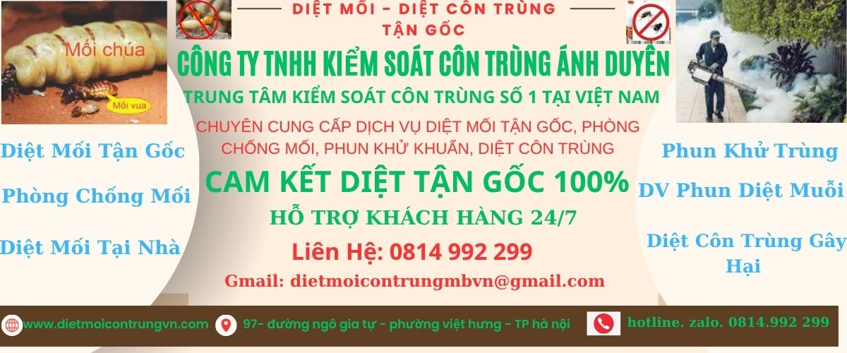 Read more about the article DIỆT MỐI TẬN GỐC, PHÒNG CHỐNG MỐI TẠI TỈNH BẮC NINH